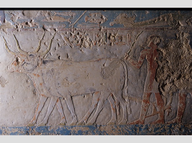 MEIR Senbi fils d'Oukhhotep 09