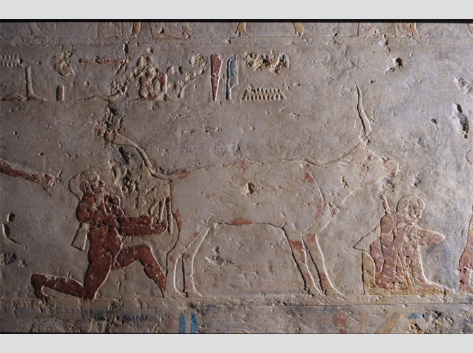 MEIR Senbi fils d'Oukhhotep 03