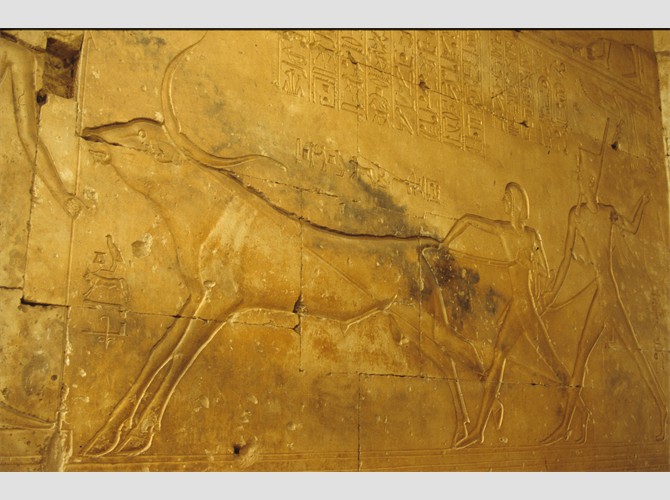 PM 236_237 Abydos S1 1990 07 20 14609